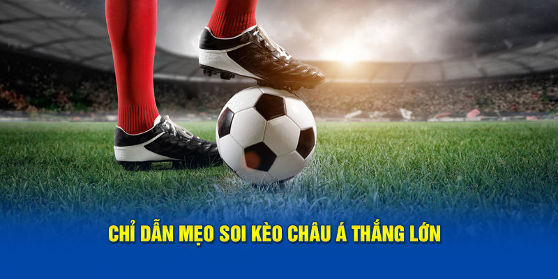 Kinh nghiệm soi kèo châu Á mau thắng từ chuyên gia