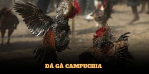 Đá Gà Campuchia Good88 - Cá Độ Đỉnh Cao Cùng Nhiều Trận Đấu Mới 2024