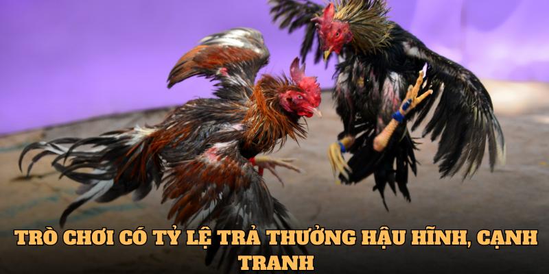 Trò chơi có tỷ lệ trả thưởng hậu hĩnh, cạnh tranh