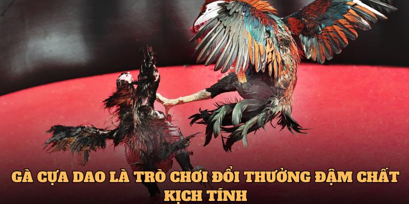 Gà cựa dao là trò chơi đổi thưởng đậm chất kịch tính