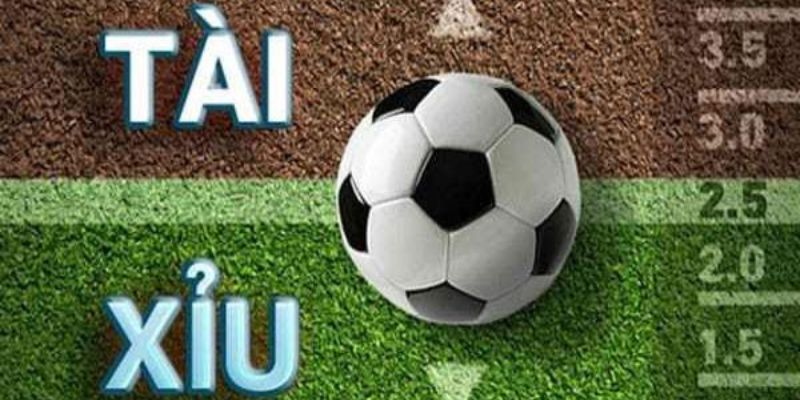 Kèo tài xỉu được yêu thích trong cá cược online