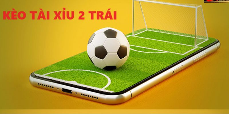 Kiến thức chung về hình thức cược tài xỉu bóng đá