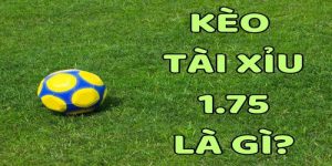 Tài Xỉu 1.75 - Khám Phá Tỷ Lệ Kèo Bóng Đá Đặc Sắc Nhất