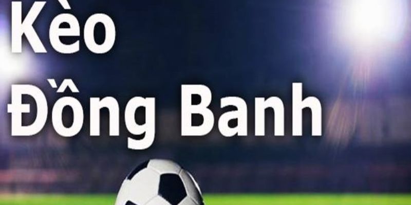 Thông tin trận đấu rất quan trọng khi cá cược